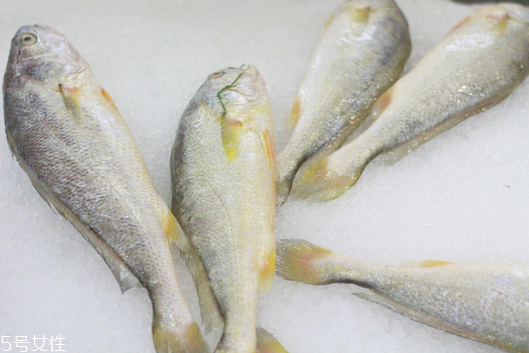 黃花魚清蒸多長時間？黃花魚清蒸的做法