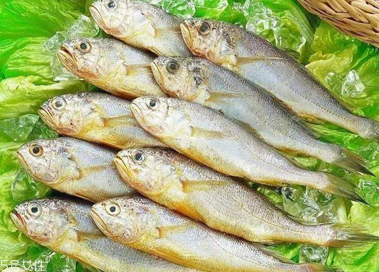 黃花魚去鱗嗎？黃花魚去內(nèi)臟嗎？