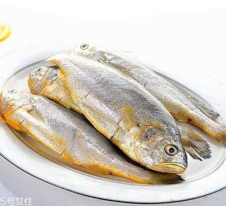 黃花魚為什么都是死的？死黃花魚可以吃嗎？