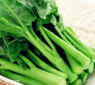芥蘭是芥菜嗎？芥蘭和芥菜的區(qū)別
