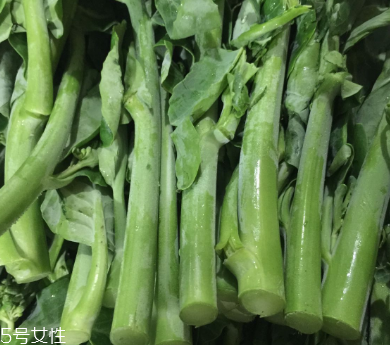 芥蘭的存儲(chǔ) 芥蘭能放冰箱嗎？