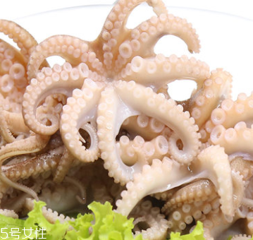 章魚是什么顏色？章魚是什么樣子？