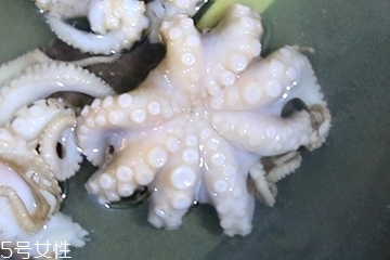 章魚會噴墨汁嗎？章魚的墨汁能吃嗎？
