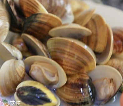 文蛤是海鮮還是河鮮？文蛤是海鮮嗎？