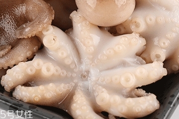 章魚(yú)可以炸嗎？章魚(yú)能油炸嗎？