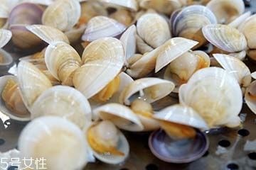文蛤是淡水還是海水？文蛤是淡水水產(chǎn)嗎？