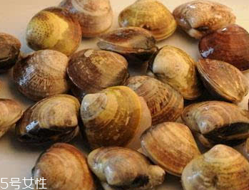 文蛤是冷水煮還是熱水？文蛤是用熱水嗎？