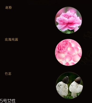雙妹玉容眼霜怎么樣？雙妹玉容眼霜價格