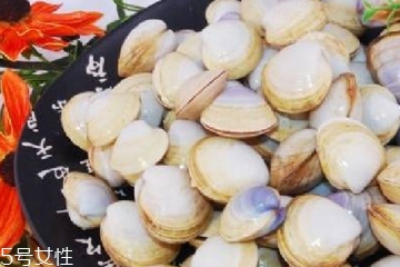 文蛤能放在冰箱里嗎?文蛤怎么保存？