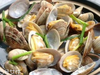 文蛤的養(yǎng)殖 文蛤怎么養(yǎng)？