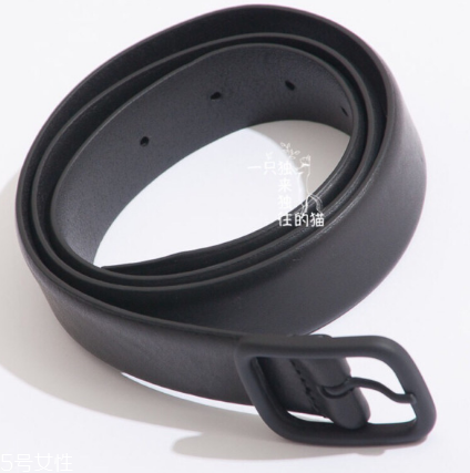 皮帶上的環(huán)叫什么名字？皮帶上的環(huán)在哪買？