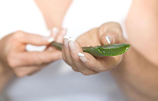 蘆薈有哪些美容功效 蘆薈的美容功效與作用 蘆薈有哪些美容功效 蘆薈的美容功效與作用