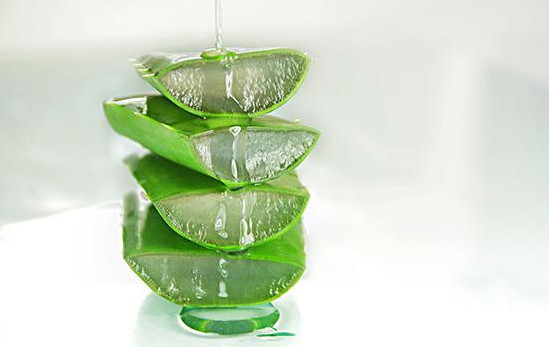 蘆薈有哪些美容功效 蘆薈的美容功效與作用 蘆薈有哪些美容功效 蘆薈的美容功效與作用