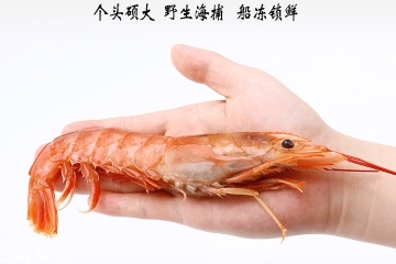 阿根廷紅蝦為什么便宜？阿根廷紅蝦有假的嗎？