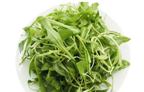 馬蘭頭是馬齒莧嗎？馬蘭頭和馬齒莧的區(qū)別