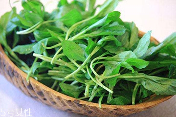 馬蘭頭的營養(yǎng)價值 馬蘭頭有什么營養(yǎng)？