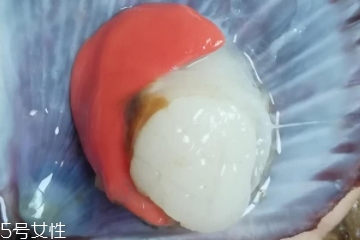 扇貝肉哪里不能吃？扇貝的月牙紅可以吃嗎？