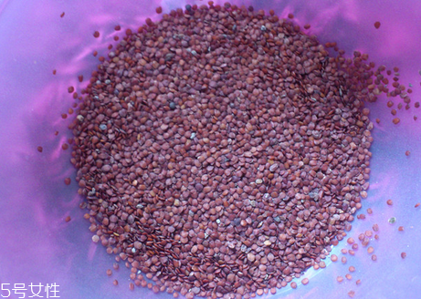 海藻面膜的功效與作用 用海藻面膜有什么好處？