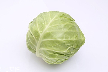 牛心菜是包菜嗎？牛心菜和包菜的區(qū)別