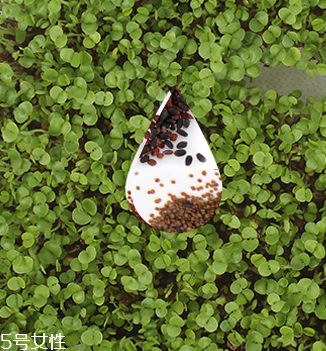 海藻面膜會過期嗎？海藻面膜有保質(zhì)期嗎？