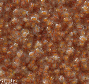 海藻面膜能加蜂蜜嗎？蜂蜜和海藻做面膜好嗎？