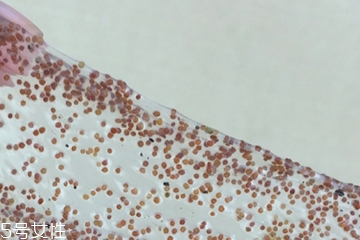 海藻面膜可以加維生素e嗎？海藻加維生素e可以用嗎？