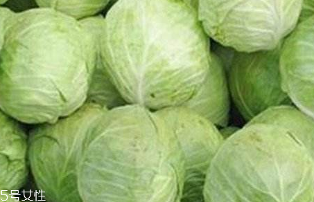 牛心菜是寒性還是熱性？牛心菜是寒性的嗎？