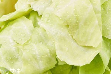 牛心菜是寒性還是熱性？牛心菜是寒性的嗎？