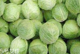 牛心菜和紫甘藍(lán)的區(qū)別 牛心菜和紫甘藍(lán)怎么分辨？