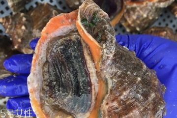 海螺開水還是冷水下鍋？海螺冷水還是熱水煮？