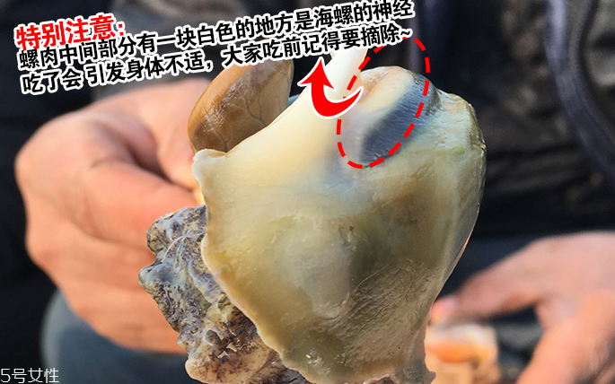 海螺會(huì)中毒嗎？吃海螺中毒多久會(huì)緩解？