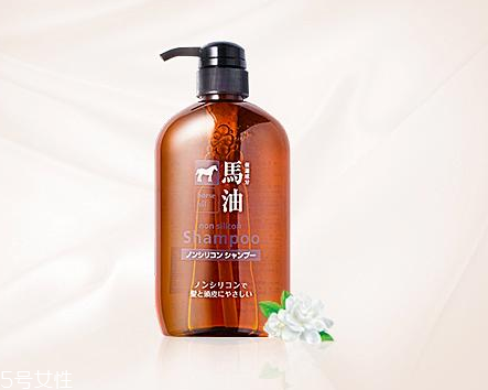 馬油洗發(fā)水是哪里產(chǎn)的？馬油洗發(fā)水是哪國的？
