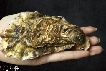 生蠔有內(nèi)臟嗎？生蠔的內(nèi)臟能吃嗎？