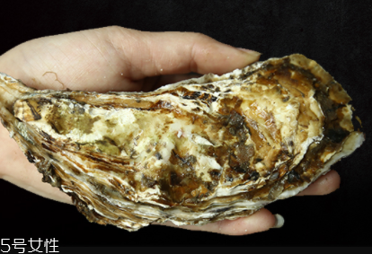 生蠔有內(nèi)臟嗎？生蠔的內(nèi)臟能吃嗎？