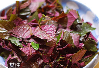 紫蘇葉能治皮膚過(guò)敏嗎？