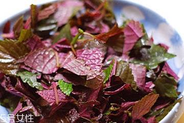 紫蘇葉是熱性的嗎？紫蘇葉是寒性的嗎？