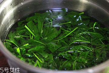 刺五加能生吃嗎？刺五加不能生吃