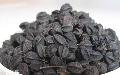 刺五加對肝病有好處嗎？