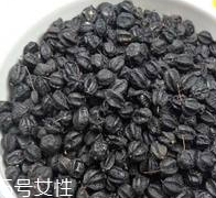 刺五加怎么吃？刺五加有什么用？