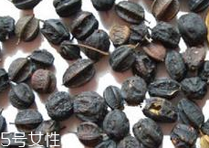 刺五加怎么吃？刺五加有什么用？