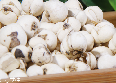 川貝母和平貝母是一樣的嗎 我們不一樣 川貝母和平貝母是一樣的嗎 我們不一樣