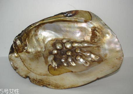 珍珠粉過(guò)期了還能用嗎 這樣用變廢為寶