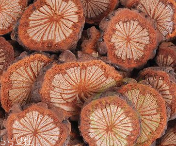 雞血藤的宜忌人群 一般人均可食用 雞血藤的宜忌人群 一般人均可食用