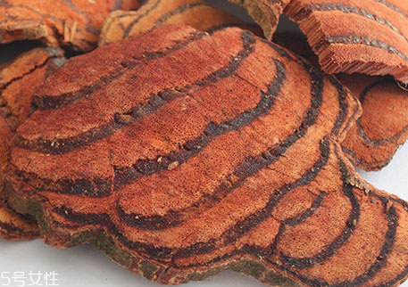 雞血藤能給小孩吃嗎 適當(dāng)少吃 雞血藤能給小孩吃嗎 適當(dāng)少吃