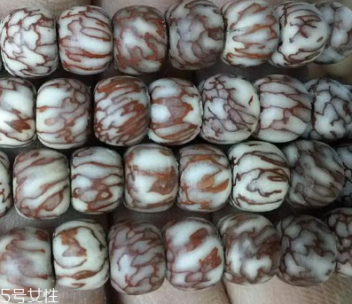 血絲菩提和星月菩提哪個(gè)好 科普菩提小知識