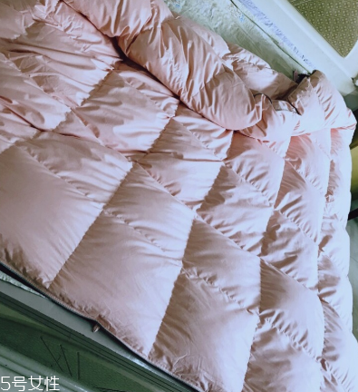 羽絨被多少錢一床 千萬別買貴了 羽絨被多少錢一床 千萬別買貴了