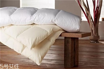 羽絨被多少錢一床 千萬別買貴了 羽絨被多少錢一床 千萬別買貴了