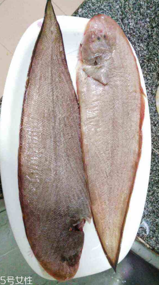 龍利魚(yú)可以生吃嗎 需經(jīng)過(guò)處理
