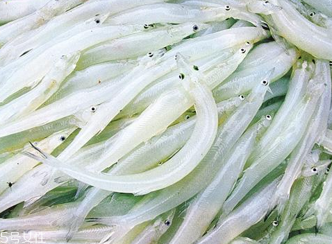 銀魚怎么做給寶寶吃 推薦是銀魚面 銀魚怎么做給寶寶吃 推薦是銀魚面