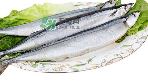 秋刀魚怎么處理？秋刀魚怎么挑選